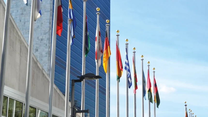 UN Safe City Project