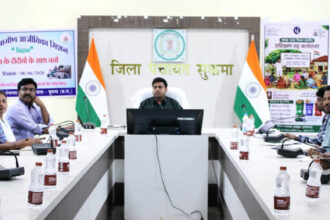 लखपति दीदी ग्राम