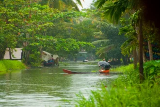 Monsoon Updates