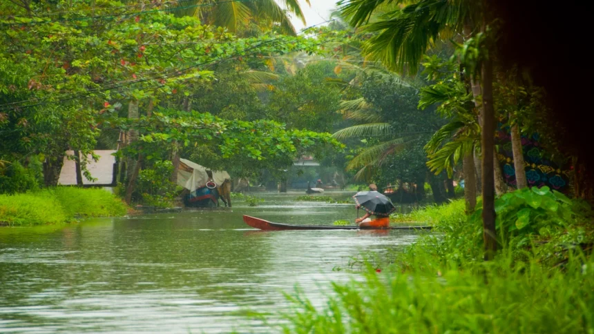 Monsoon Updates