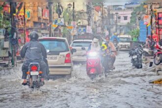 Bilaspur Rain