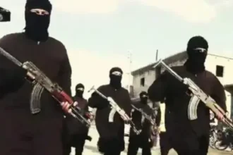 Terror Module