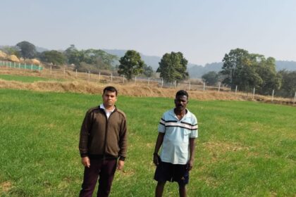 गेहूं उत्पादन