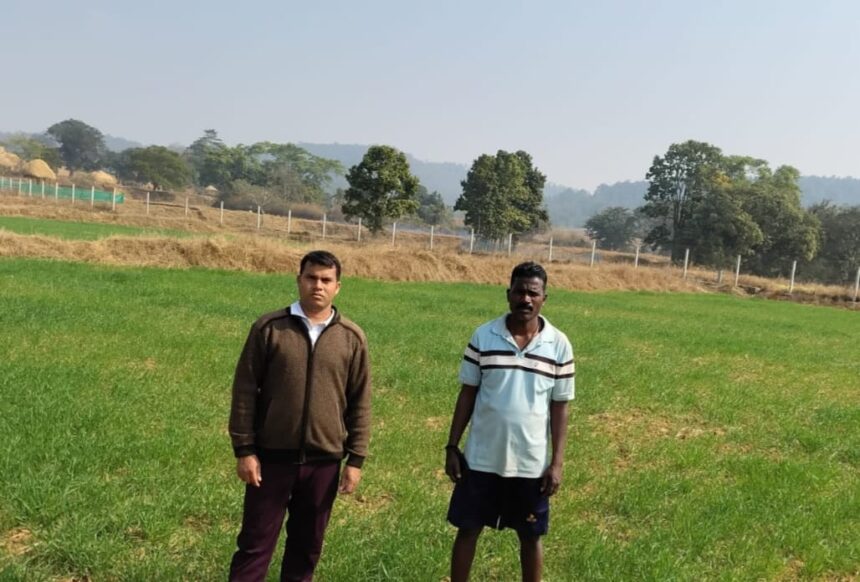 गेहूं उत्पादन