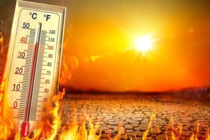 Heatwave News