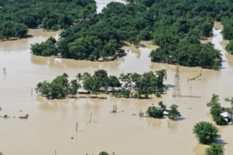 Assam Flood Relief