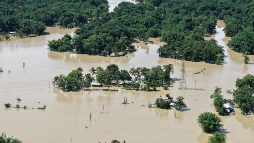 Assam Flood Relief
