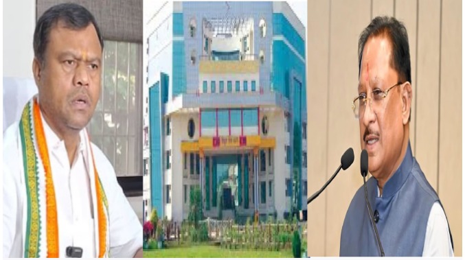 बिजली निजीकरण