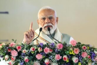 भारत का वैश्विक योगदान