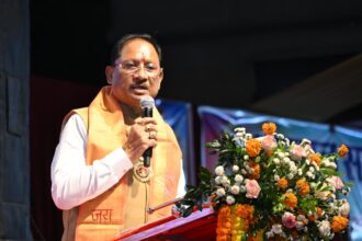 भारत की आर्थिक विकास दर